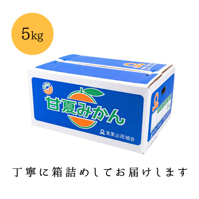 訳あり5kg箱