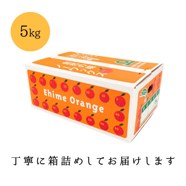 色づく前の青い状態で収穫した愛媛みかん。香りがよく甘酸っぱい味わい