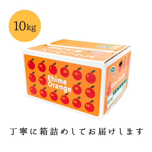 訳あり媛の月10kg箱