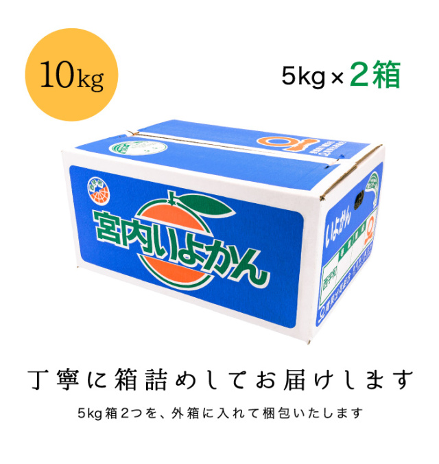 訳ありいよかん10kg箱