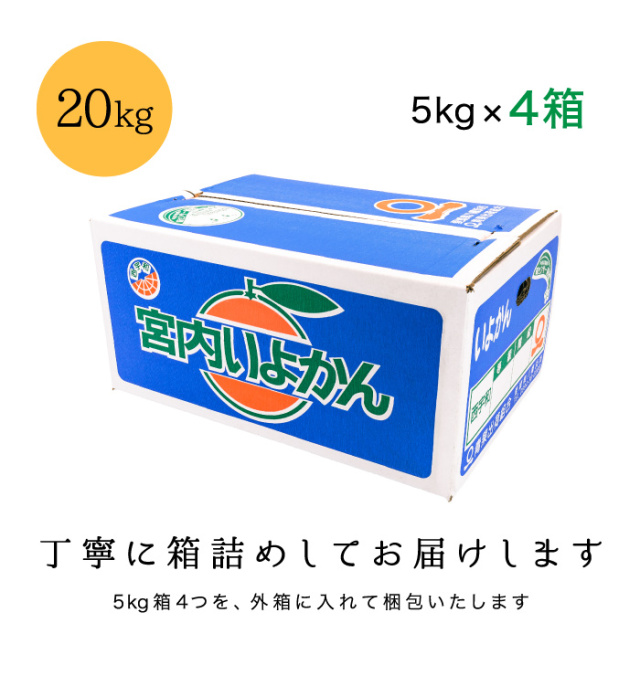 訳ありいよかん20kg箱