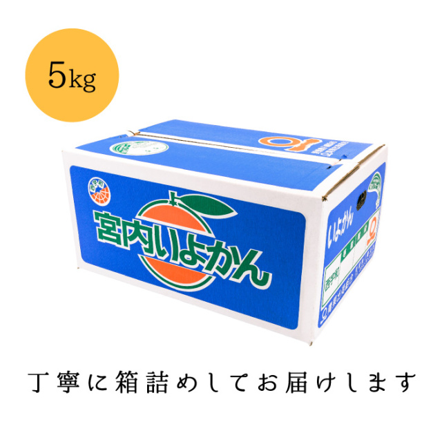 訳ありいよかん5kg箱