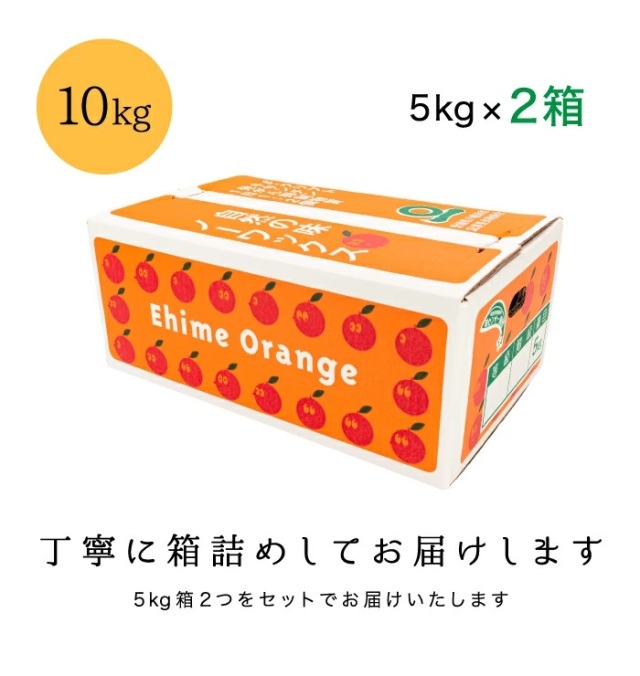 訳ありまどんな10kg箱