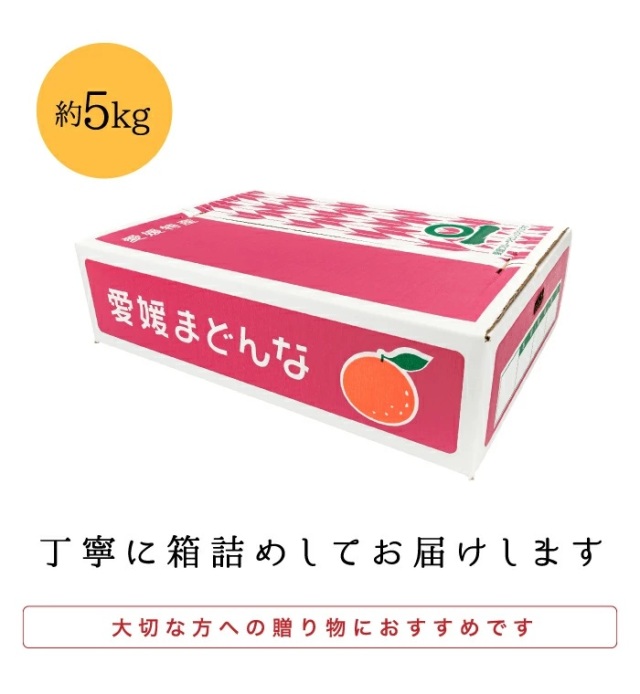 贈答まどんな5kg箱