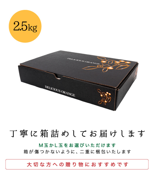 贈答みかん箱