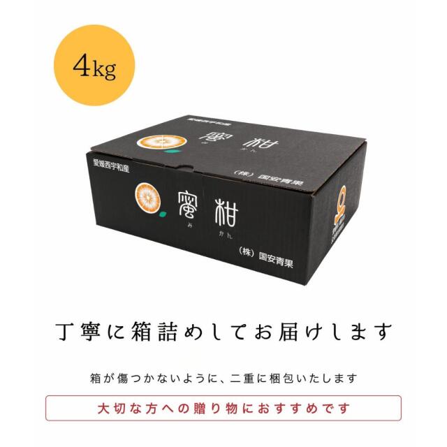 贈答用みかん