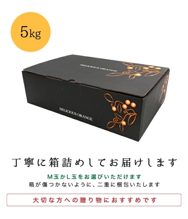 贈答みかん5kg箱