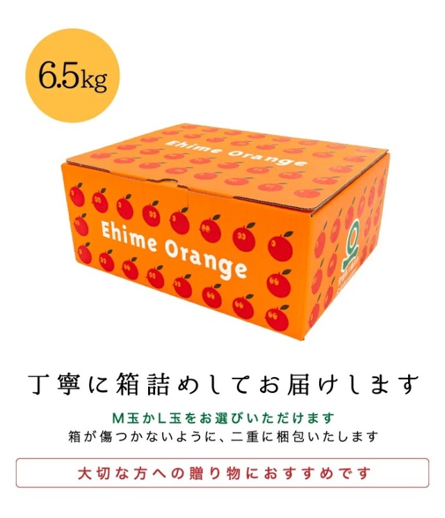 贈答みかん6.5kg箱