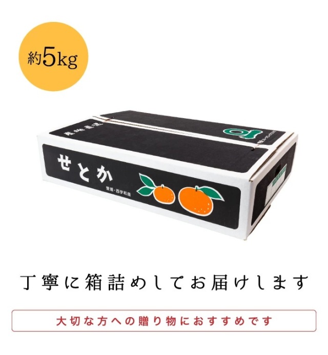 愛媛が誇る高級柑橘せとかはギフトにもおすすめ【贈答用5kg】