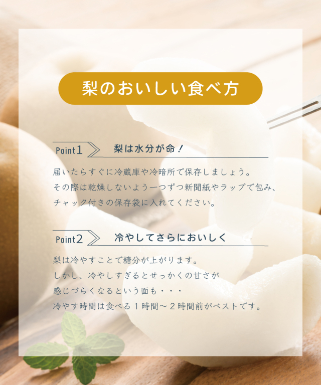 ☆甘い果汁が泉のようにあふれる！ご予約受付開始☆【送料無料