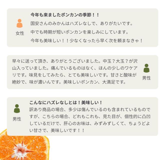 ごんちゃーん L甘平・ポンカン各4Kg　　同梱発送 2月上旬より順次発送予定】【春季限定】【順次発送中】ポンカン【家庭