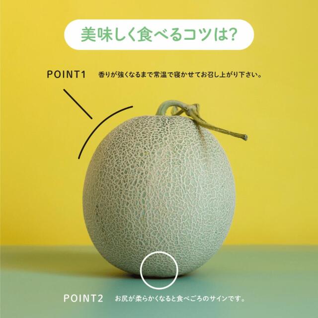 訳ありメロン