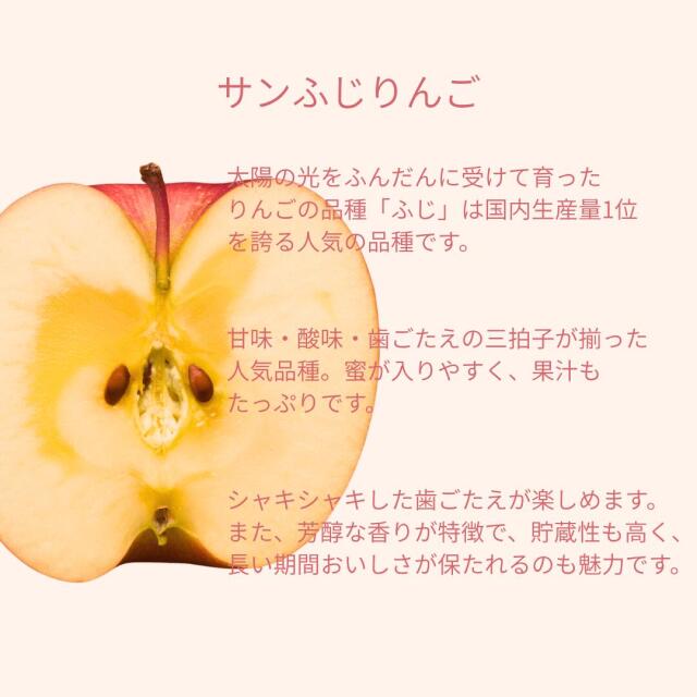 山形産訳ありサンふじ