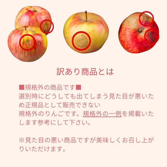 山形産訳ありサンふじ