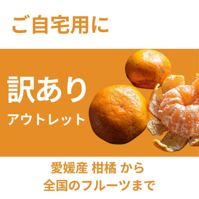 愛媛県西宇和産極早生みかん 訳あり10kg