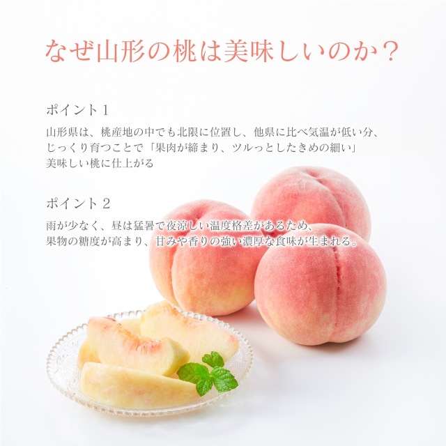 厳しい寒暖差によって締まった果肉と濃厚な甘みが特徴の「山形産 白桃」