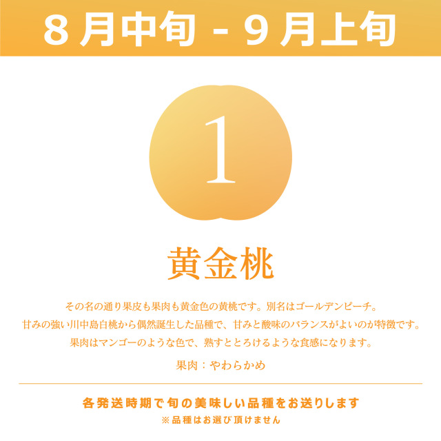 山形産黄桃