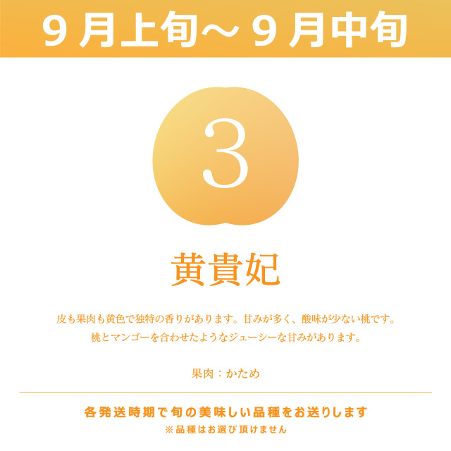 山形産黄桃