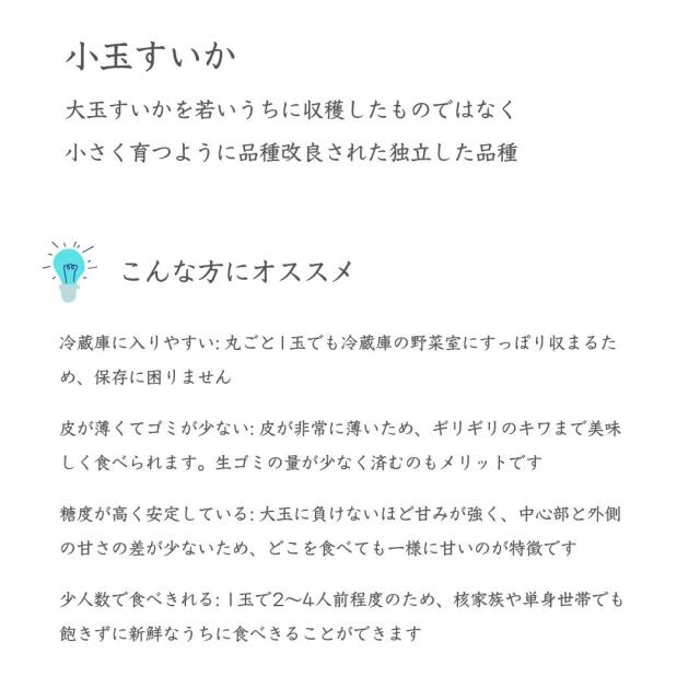 山形産夏すいか