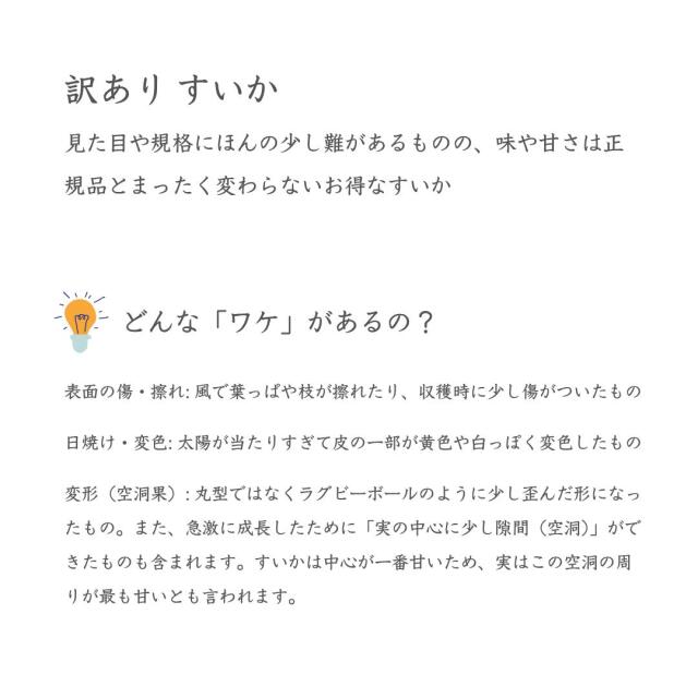 山形産夏すいか
