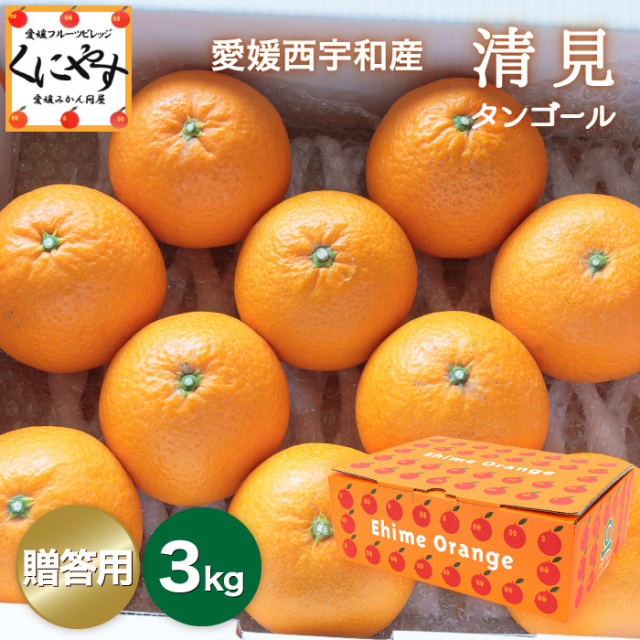 贈答清見3kg