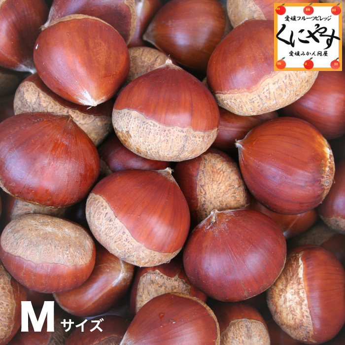 愛媛県産 栗7kg 訳あり割れ栗3kgM～Lサイズ 愛媛県産 栗7kg 訳あり割れ栗3kgM～Lサイズ 楽天市場】 愛媛の