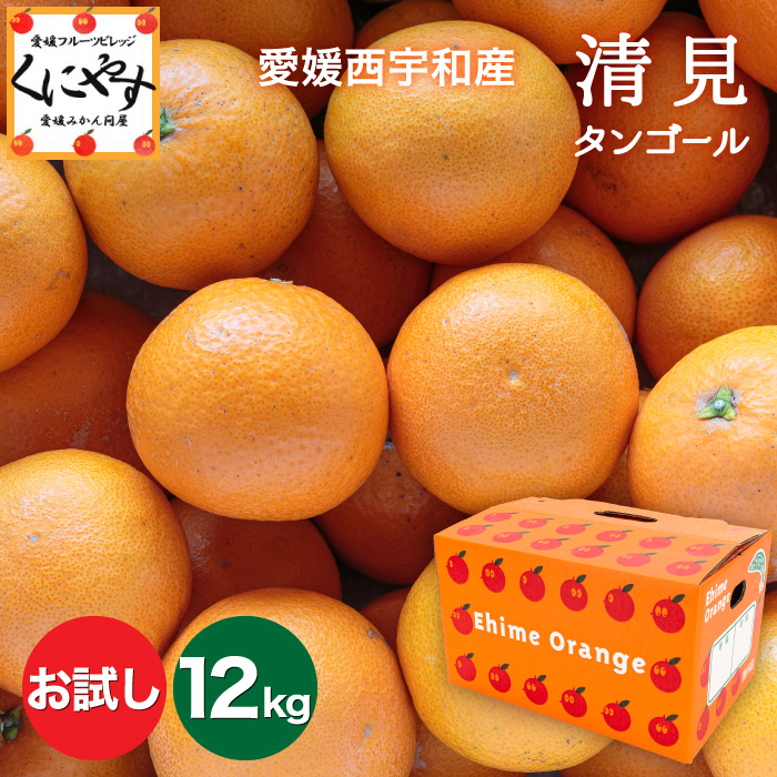 お試し清見12kg