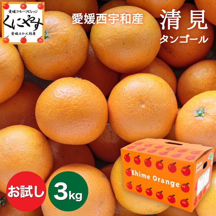 お試し清見3kg