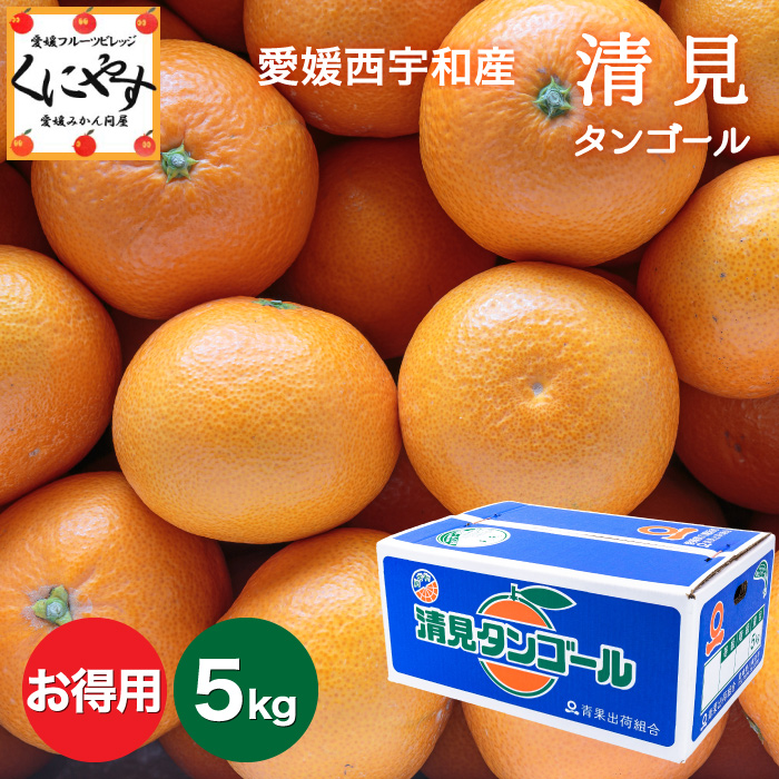 お得清見5kg