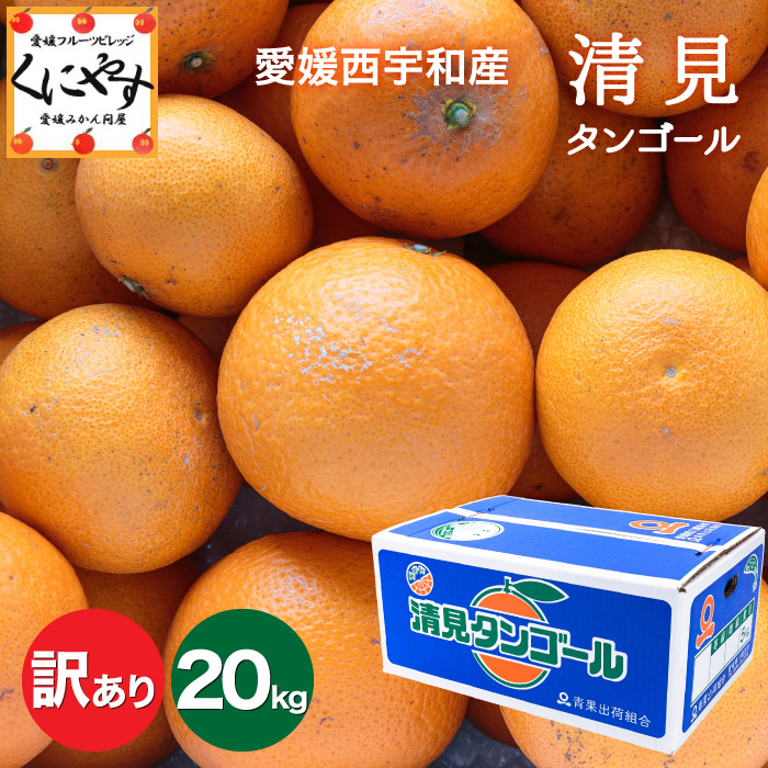 訳あり清見20kg