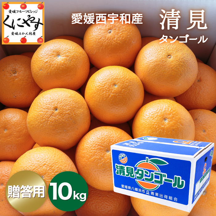 贈答清見10kg