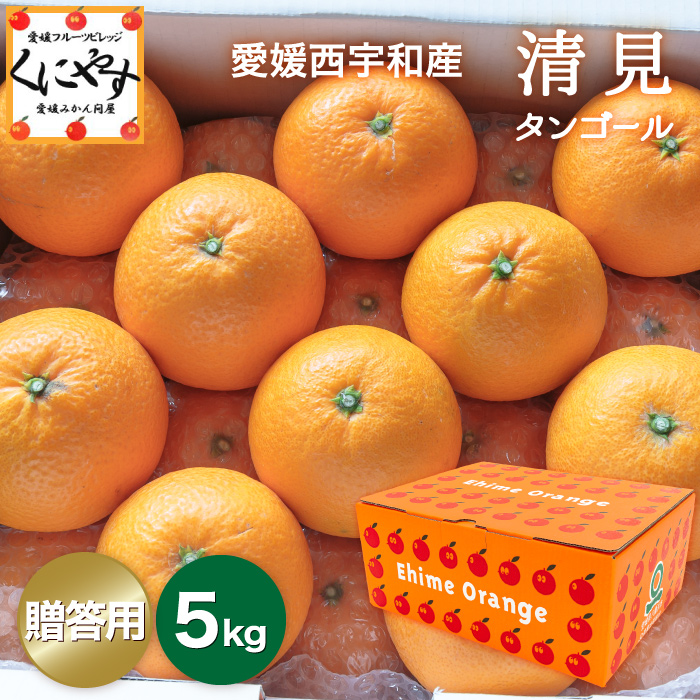 贈答清見5kg