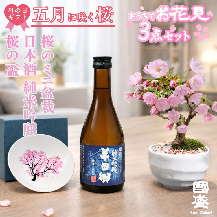 日本酒、盆栽セット