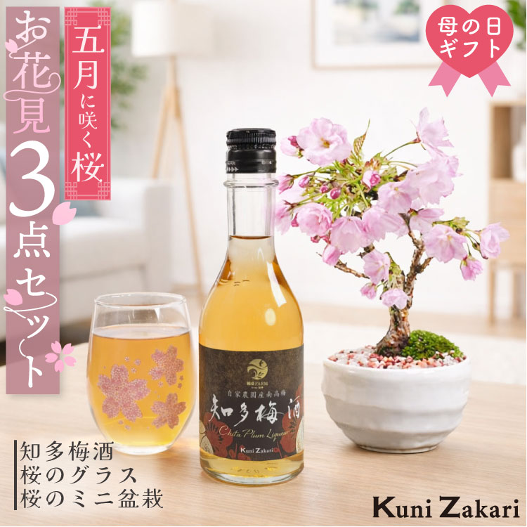 梅酒、盆栽セット