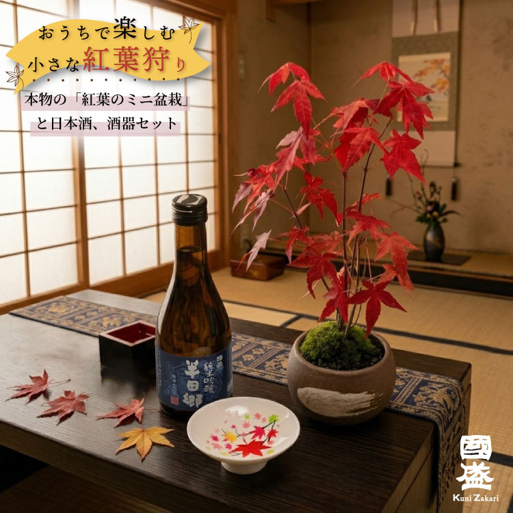 盆栽　もみじ