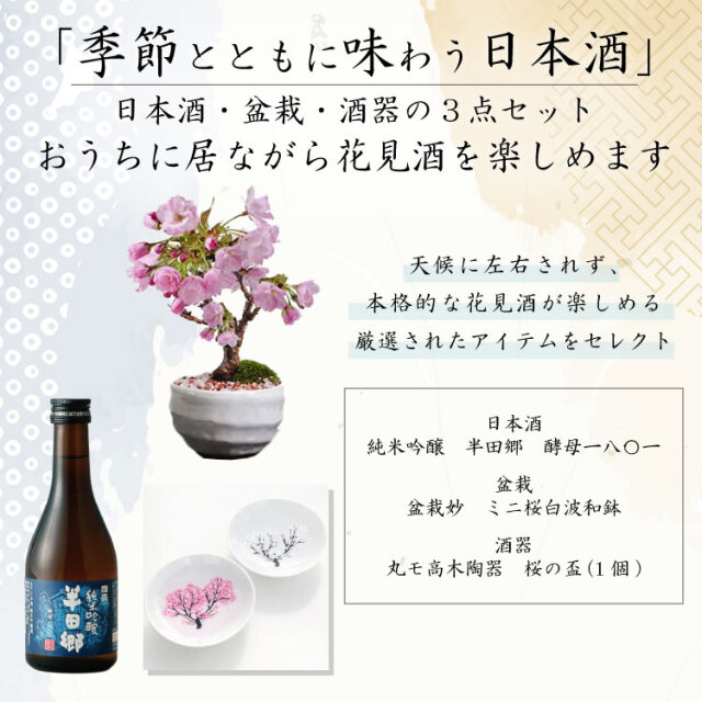 日本酒、盆栽セット