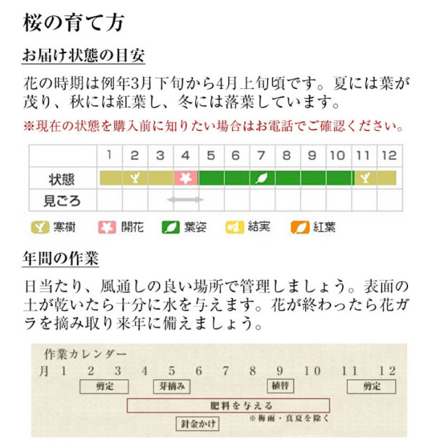 日本酒、盆栽セット