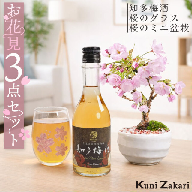 おうちで お花見 梅酒と盆栽セット