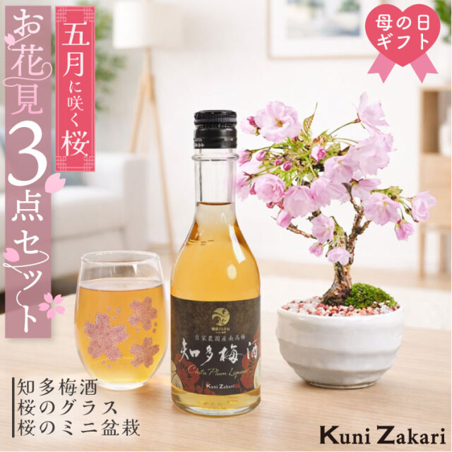 母の日ギフト おうちで お花見 梅酒と盆栽セット