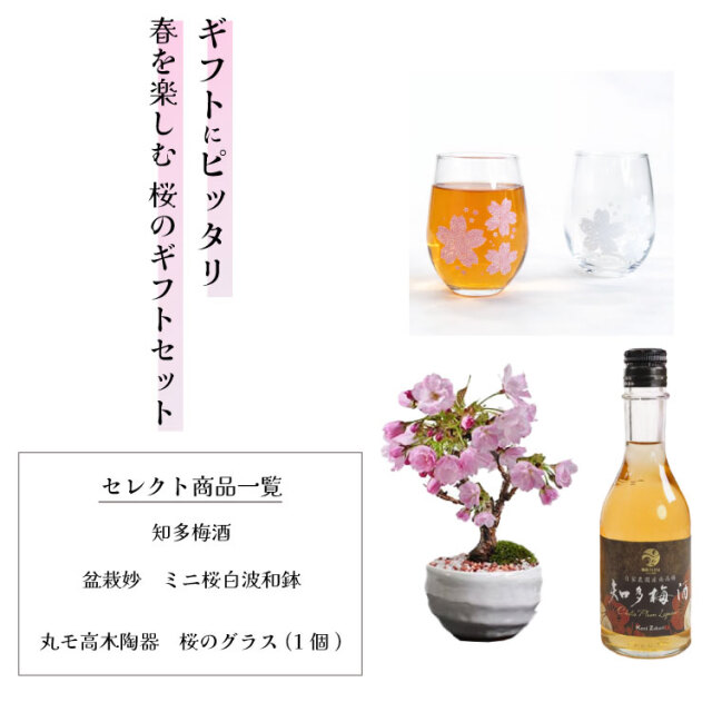梅酒、盆栽セット