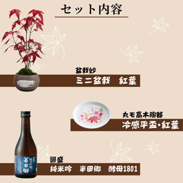 紅葉、盆栽セット