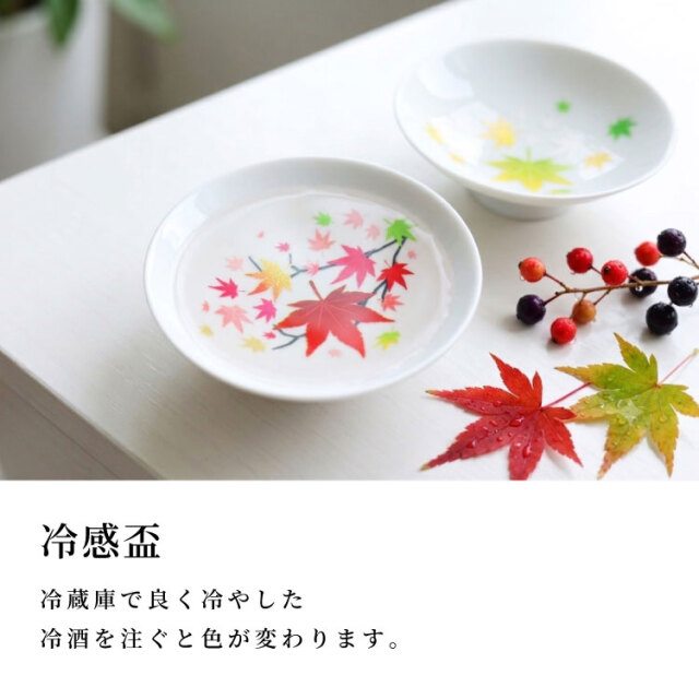 盆栽　もみじ