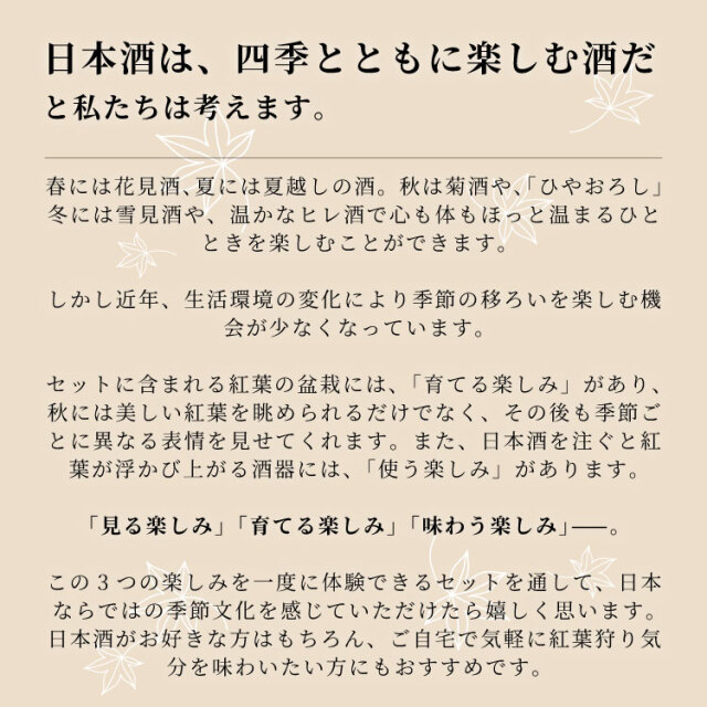 紅葉、盆栽セット