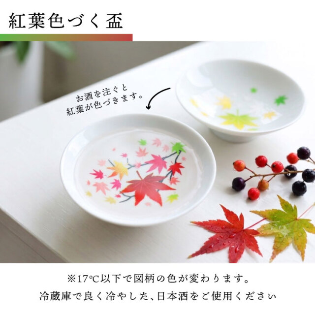紅葉、盆栽セット