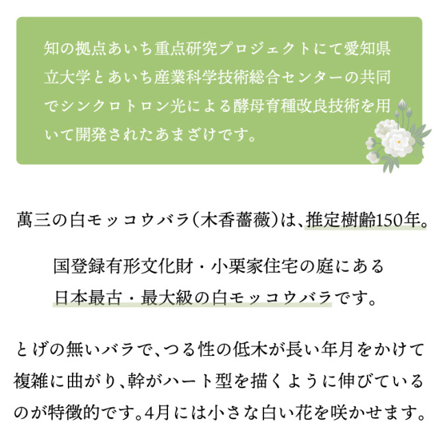 あいりっしゅあまざけ