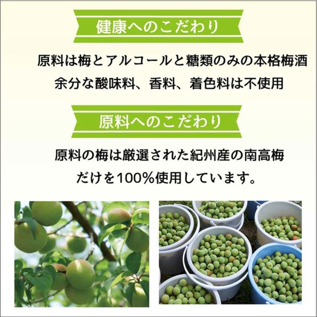 國盛 おばあちゃんの梅酒 1400ml 実入りデカンタ 蔵元直営 kunizakari shop