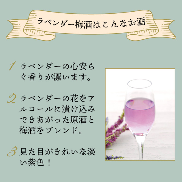 國盛 ラベンダー梅酒 720ml / フローラル梅酒 蔵元直営