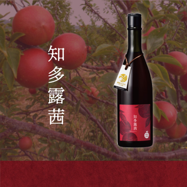 國盛 知多露茜 梅原酒 720ml 蔵元直営 kunizakari shop