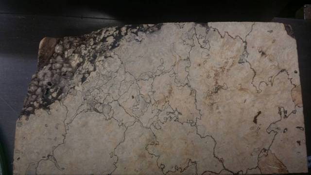 【スポルテッド】 カリン瘤 極上 420x180x110