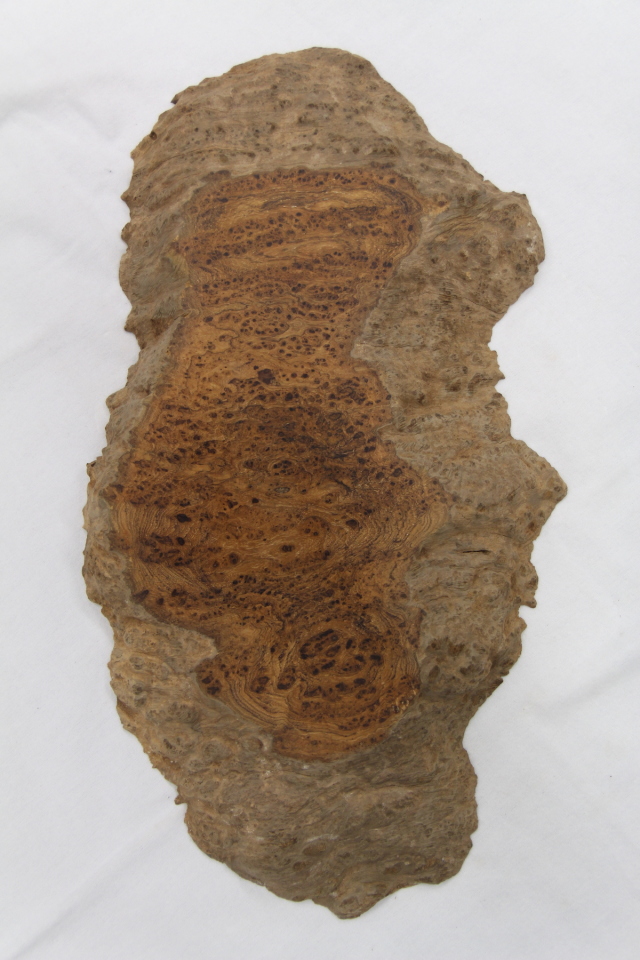 【鳥眼杢】 チーク 極上 460x780x40